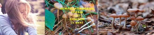 героин Горняк