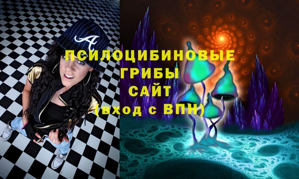 spice Арсеньев